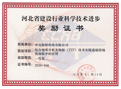 TST科学技术进步奖证书
